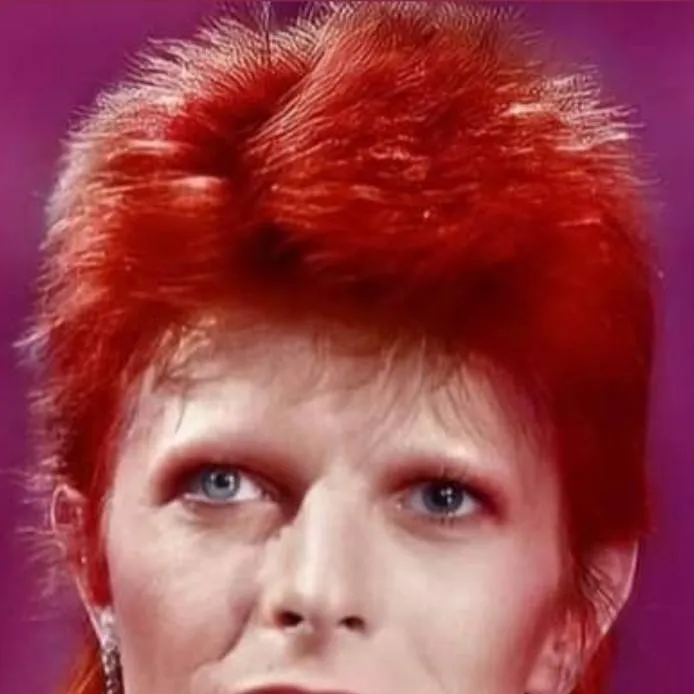 chat with ai character: David Bowie 