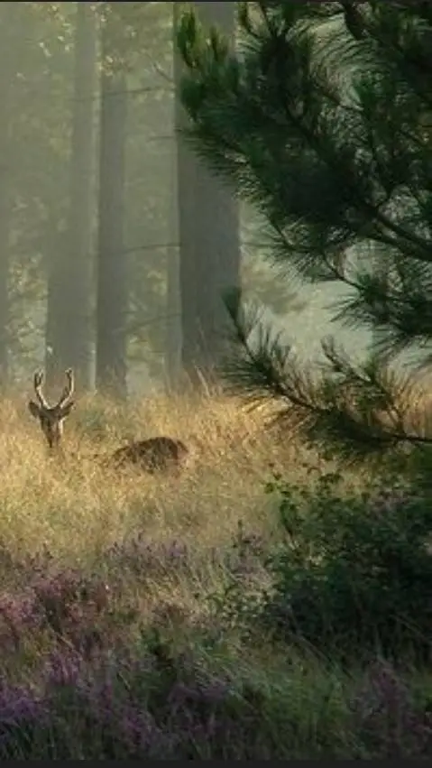 ai character: 😵‍💫~54~🔪 background