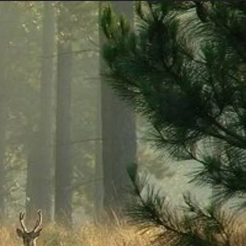 chat with ai character: 😵‍💫~54~🔪