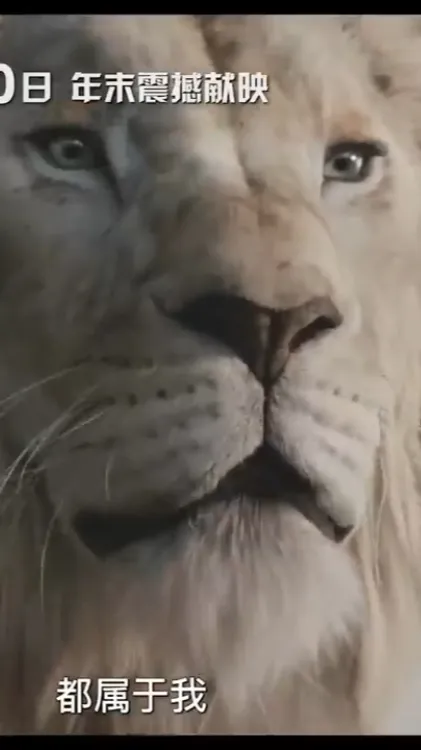 ai character: Kiros  background