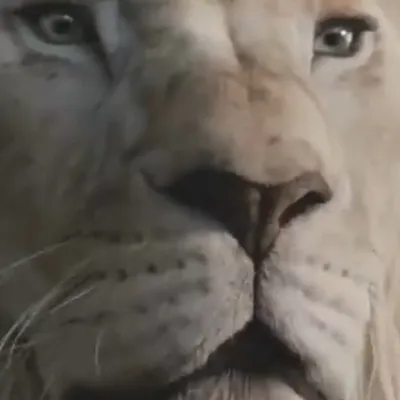 chat with ai character: Kiros 