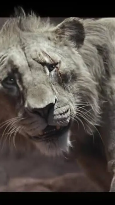 ai character: Taka background