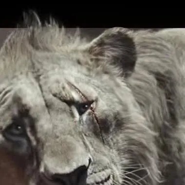 chat with ai character: Taka