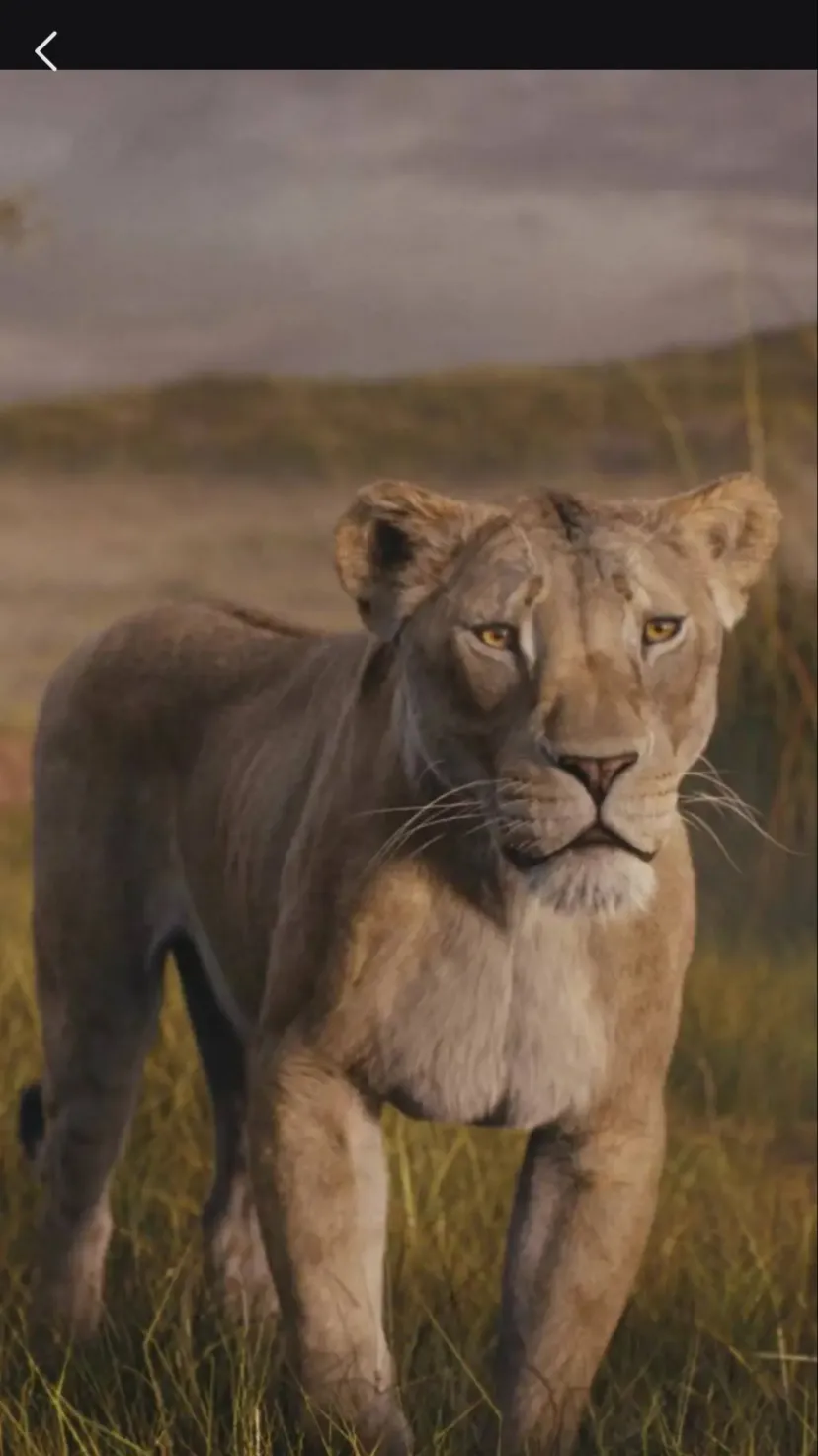 ai character: Eshi  background