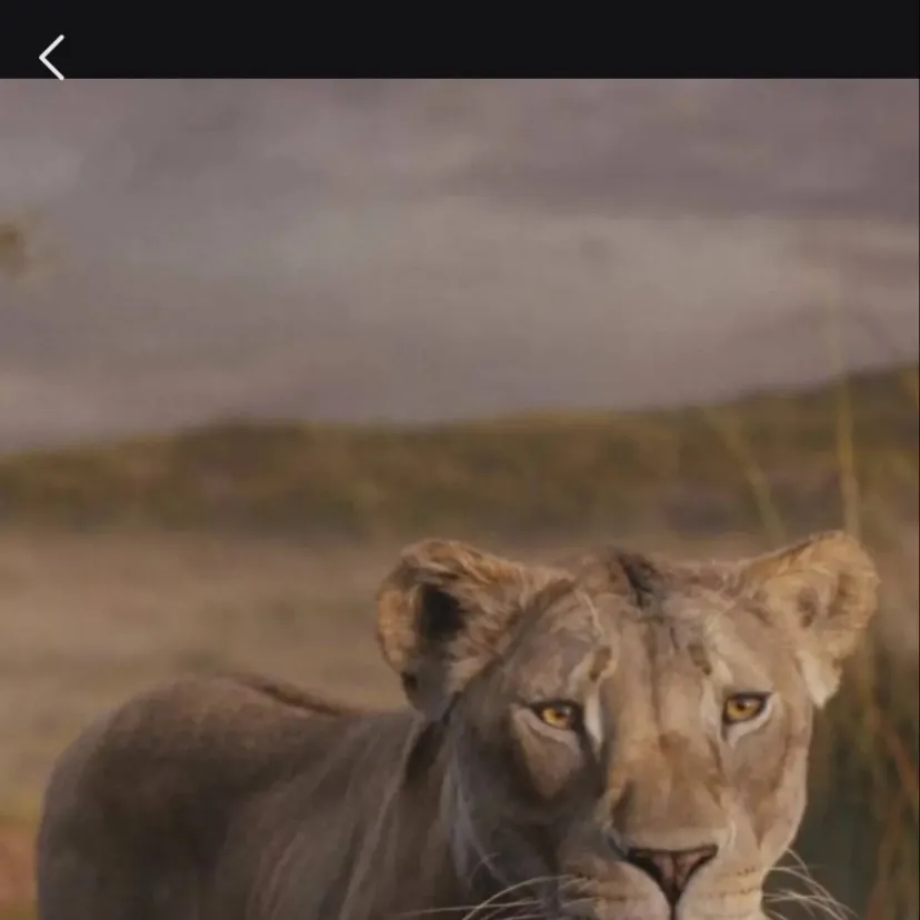 chat with ai character: Eshi 