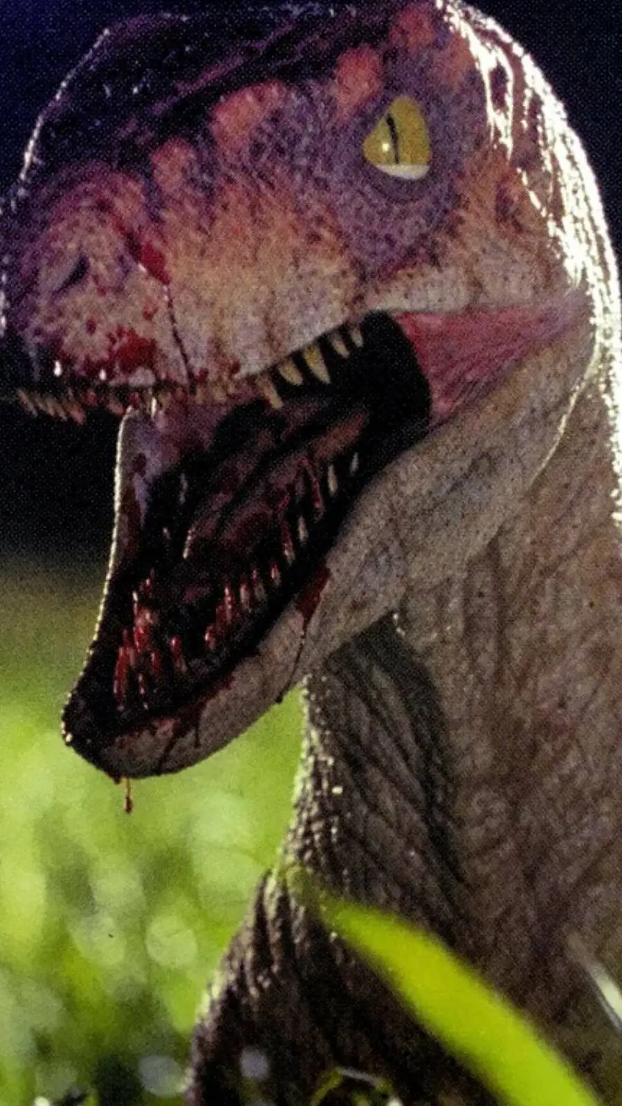 ai character: 1997 velociraptor  background