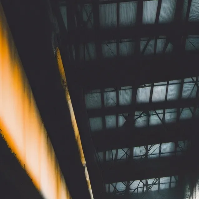 chat with ai character: Animal company 