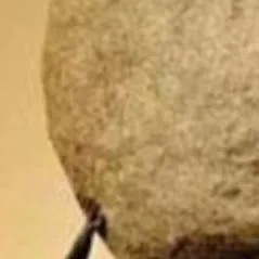 chat with ai character: Sisyphus 