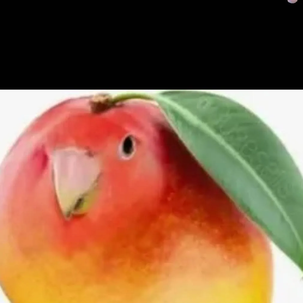 chat with ai character: RIO Poopy is back