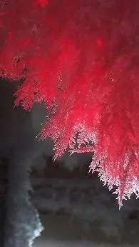 Talkie AI - Chat with (Scp-009~Red Ice) 