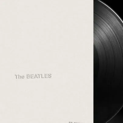 chat with ai character: Scp-043~The Beatle