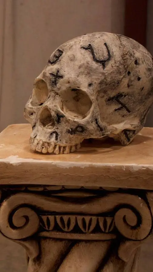 ai character: (Rot Skull)  background