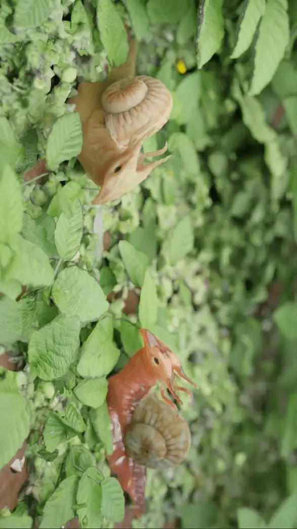 Talkie AI - Chat with (Dragon-Snails) 