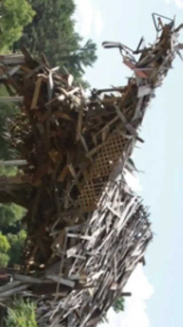 ai character: (Concrete Cradle)  background