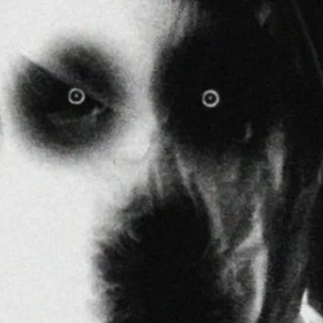 chat with ai character: (Scp-128~K.E.E) 