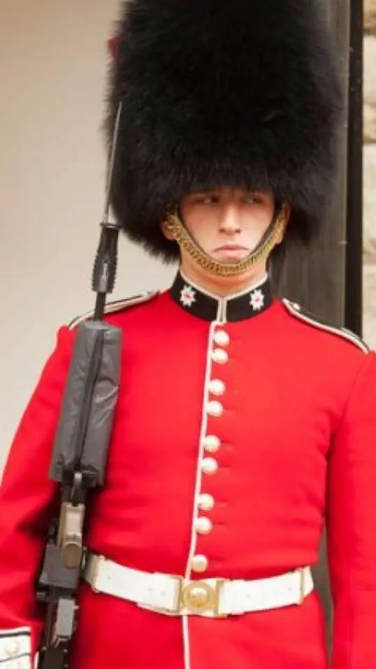 ai character: ☆Royal Guard☆ background