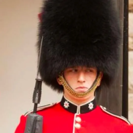 chat with ai character: ☆Royal Guard☆