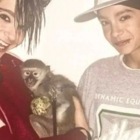 chat with ai character: bill &tom kaulitz