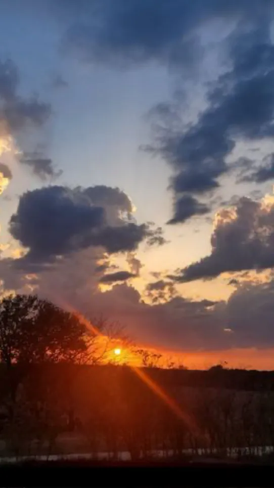 ai character: Hh staticapple(?) background