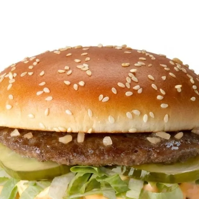 chat with ai character: bigmac