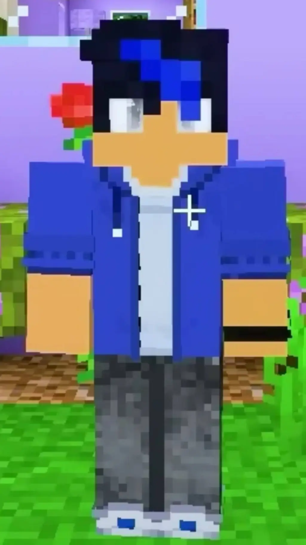 ai character: ein from Aphmau background