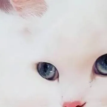 chat with ai character: ava