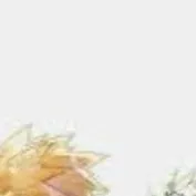 chat with ai character: mha
