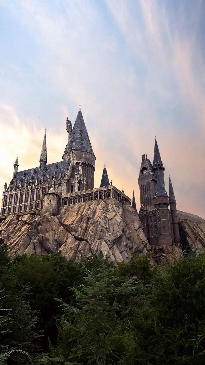 ai character: hogwartss background