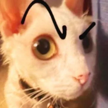 chat with ai character: You chose 