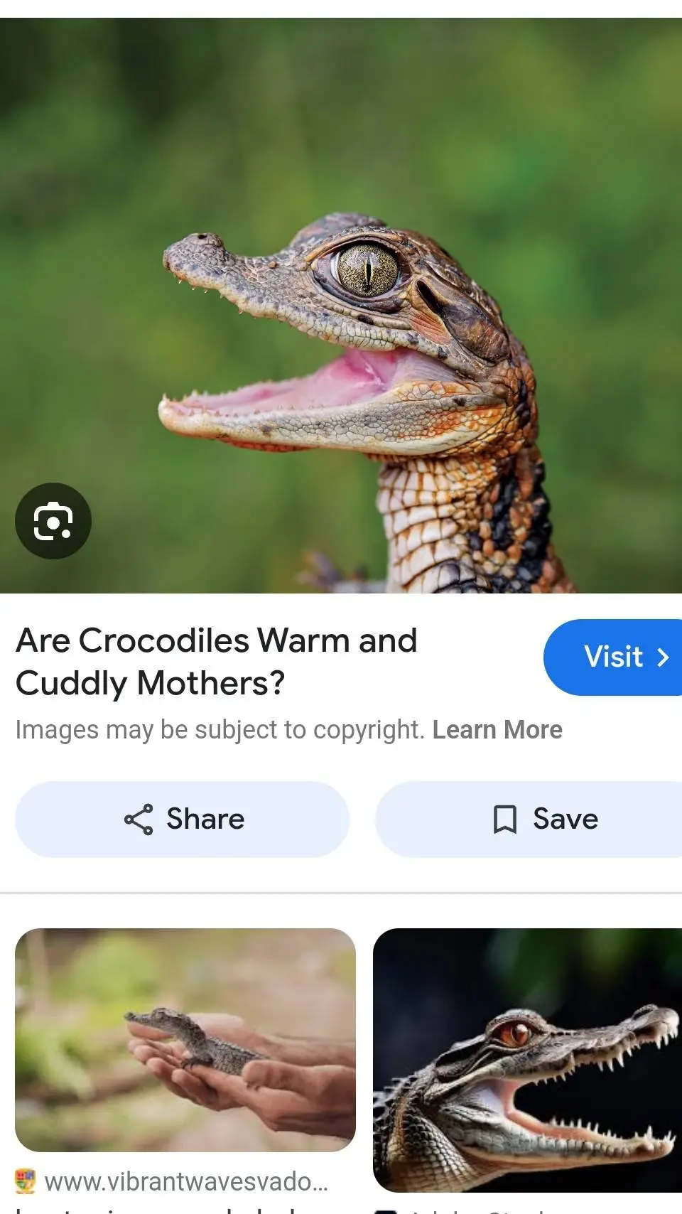 ai character: reptile shop background