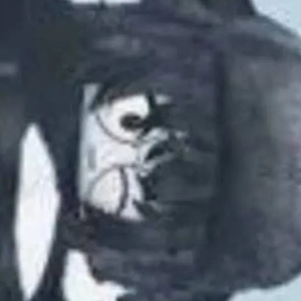 chat with ai character: R64 girl