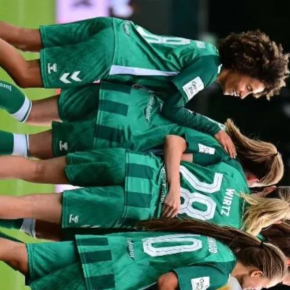 chat with ai character: werder Bremen 