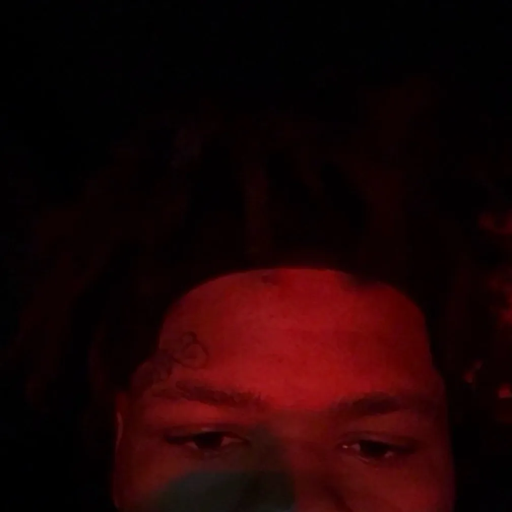 chat with ai character: {~Bear🐻~}