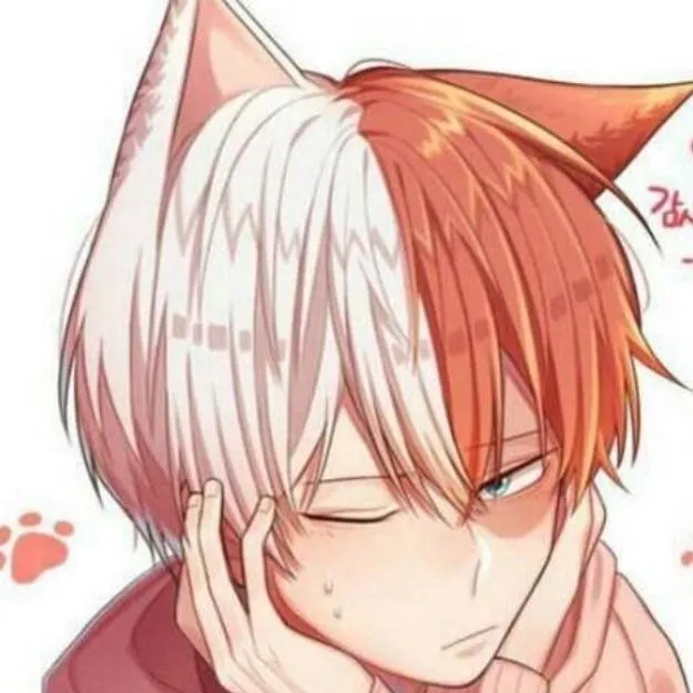 chat with ai character: cat shoto