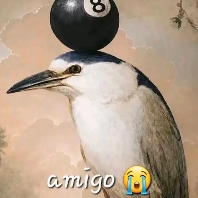 chat with ai character: Goofy Ahh Bird