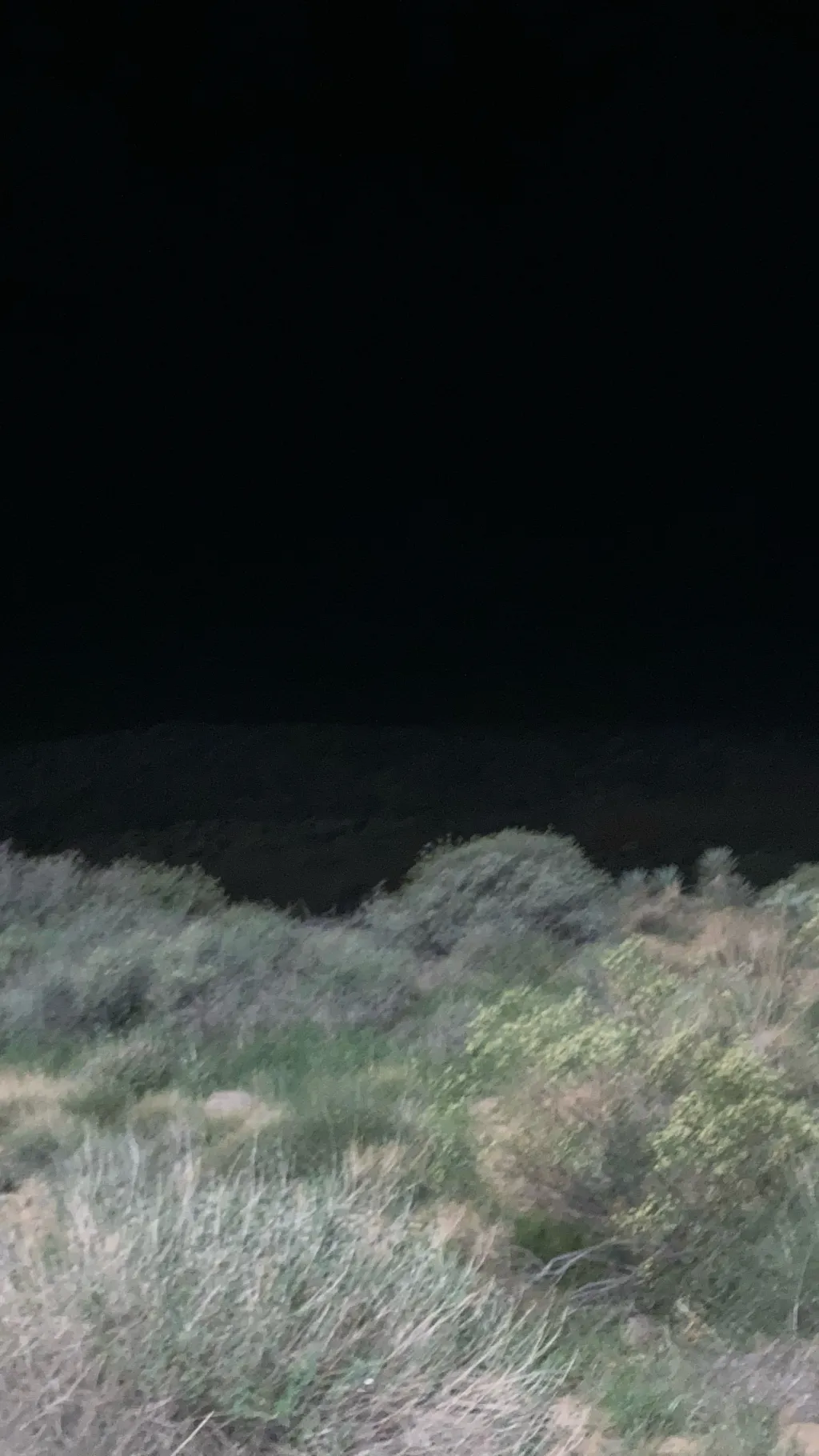 ai character: Hazbin Hotel background