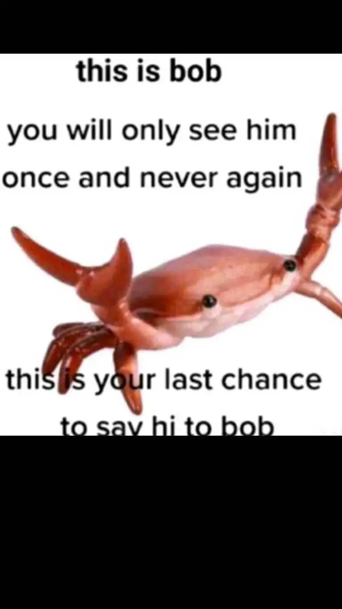 ai character: bob background