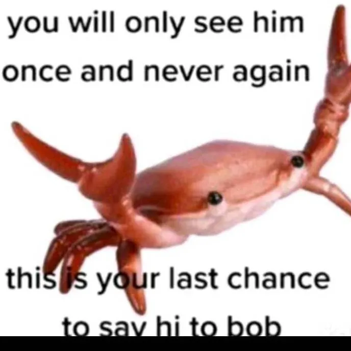 chat with ai character: bob