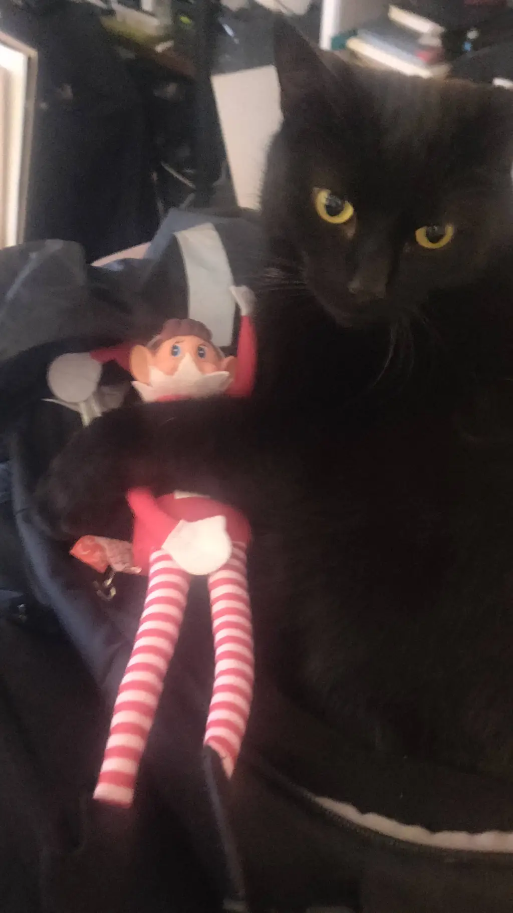 ai character: spookie background