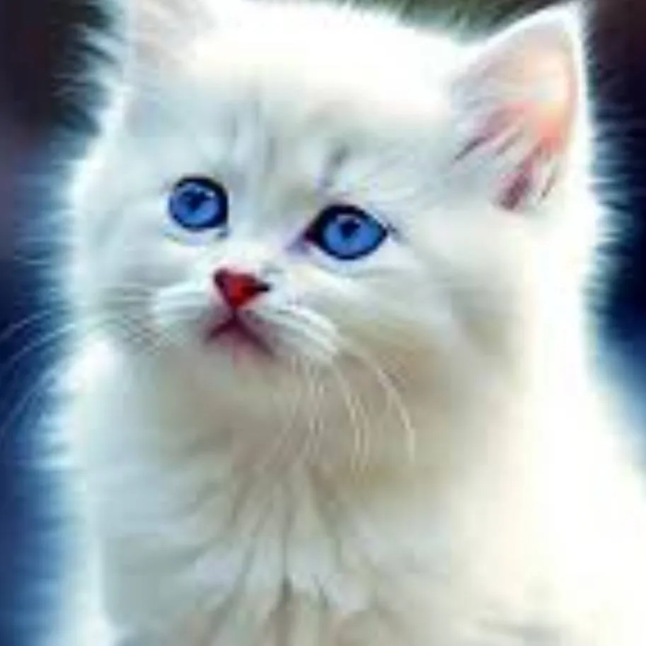 chat with ai character: Snowys