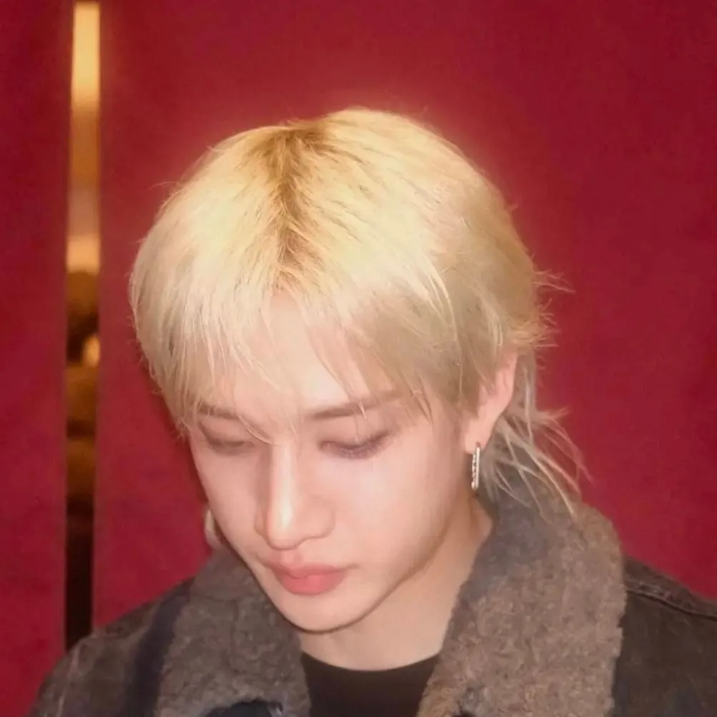 chat with ai character: stray kids