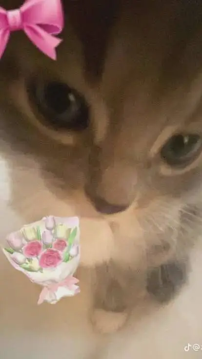 ai character: ETM plays Dw  background