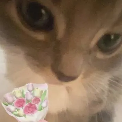 chat with ai character: ETM plays Dw 