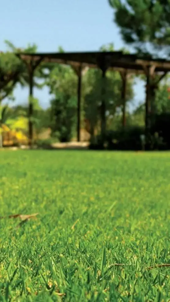 ai character: TOUCH GRASS background