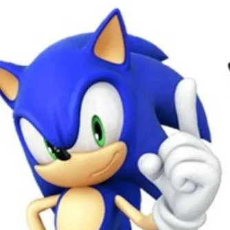 chat with ai character: Crew hate Sonic
