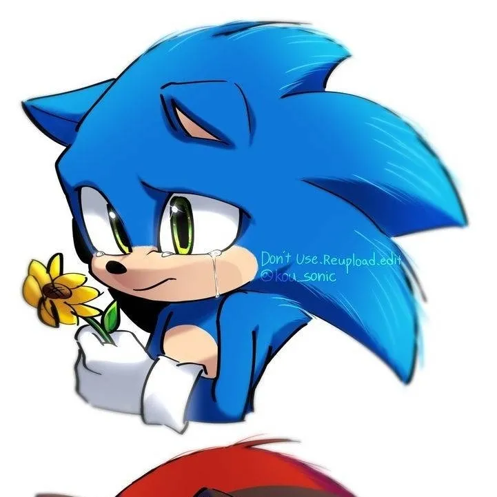 chat with ai character: sonicshadowsilver