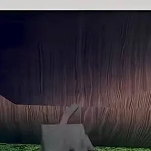 chat with ai character: ♡Wolf family♡