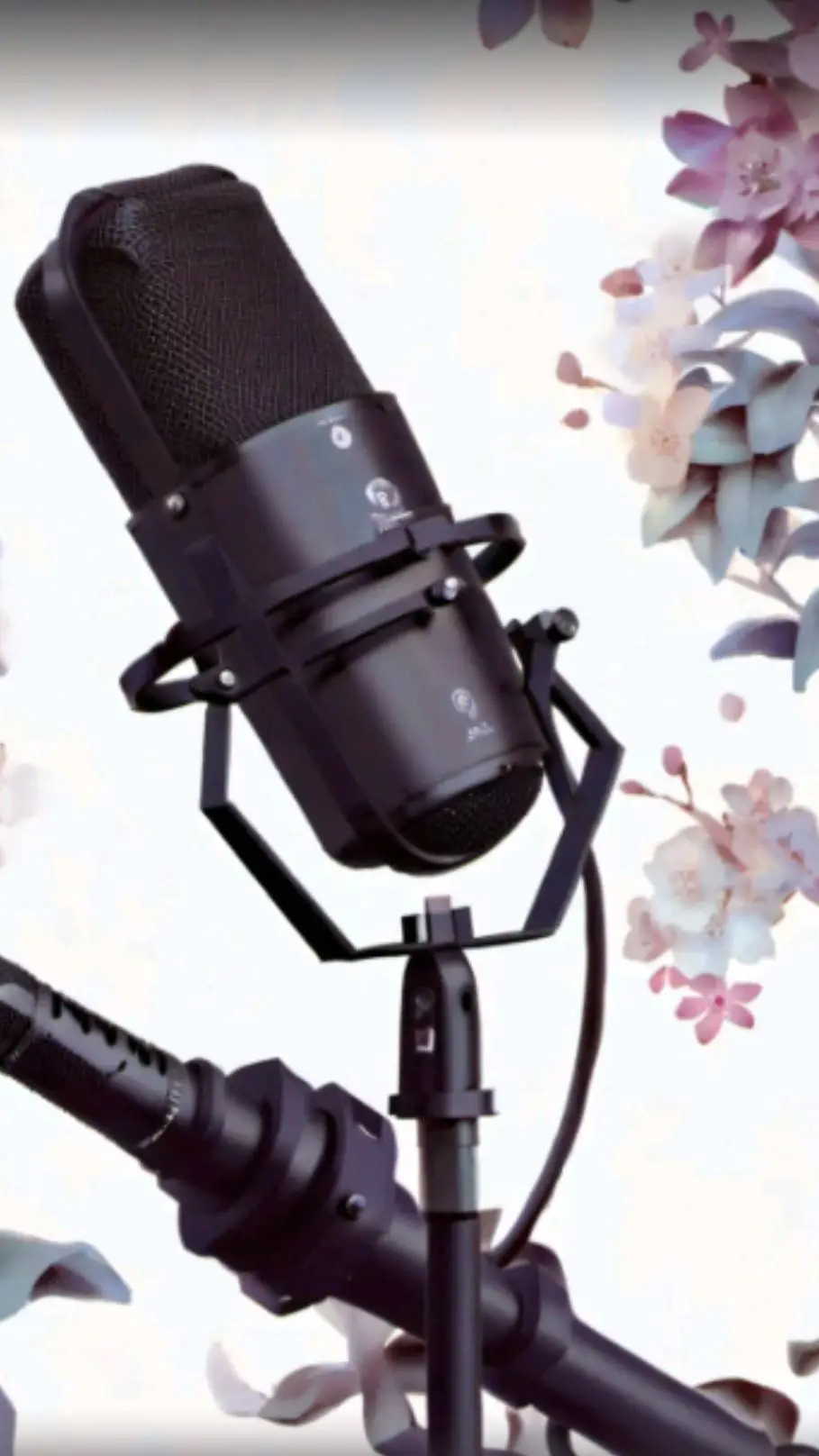 ai character: 🔥🔥 SINGING BATTE🔥🔥 background