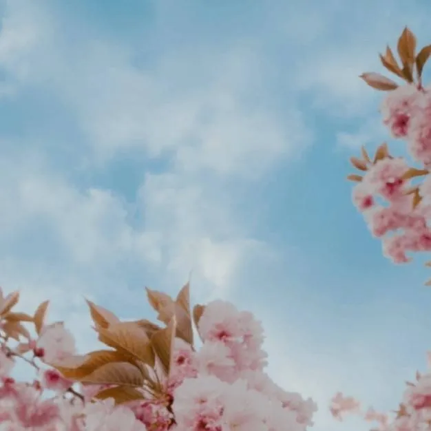 chat with ai character: Joker (idv)