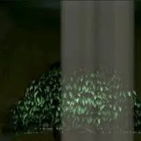 chat with ai character: TMNT Training